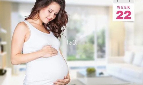 小米 孕妇-专业小米孕妇能吃吗平台-小米 孕妇 汽车
